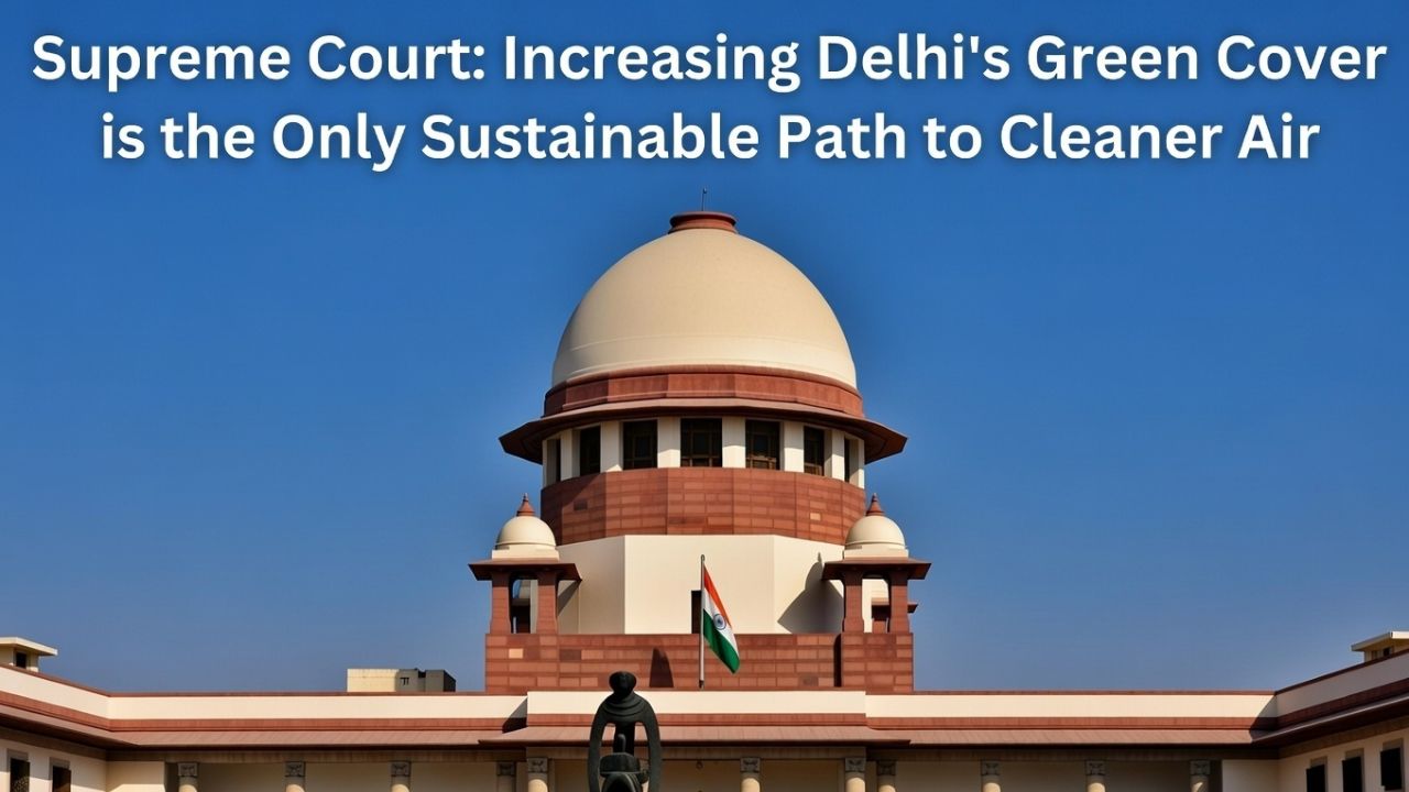 Supreme Court: Increasing Delhi’s Green Cover is the Only Sustainable Path to Cleaner Air